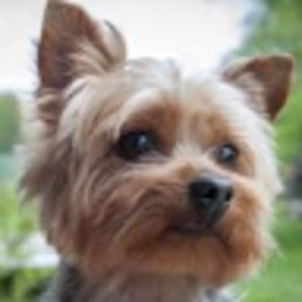 Meet your Posher, Keri